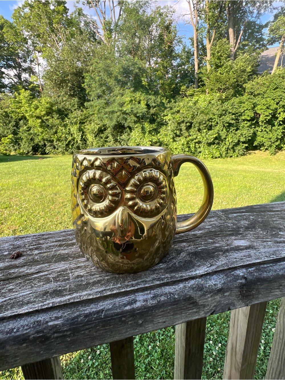 Home Essentials Gold Owl Ceramic Coffee Mug